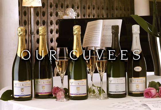our_cuvees.jpg